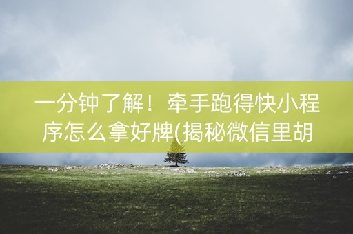 一分钟了解！牵手跑得快小程序怎么拿好牌(揭秘微信里胡牌技巧)