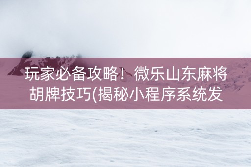 玩家必备攻略！微乐山东麻将胡牌技巧(揭秘小程序系统发好牌)