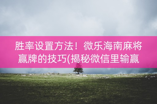 胜率设置方法！微乐海南麻将赢牌的技巧(揭秘微信里输赢技巧)
