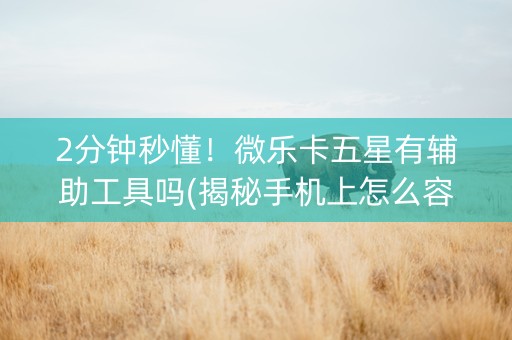 2分钟秒懂！微乐卡五星有辅助工具吗(揭秘手机上怎么容易赢)