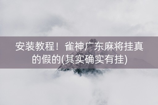 安装教程！雀神广东麻将挂真的假的(其实确实有挂)