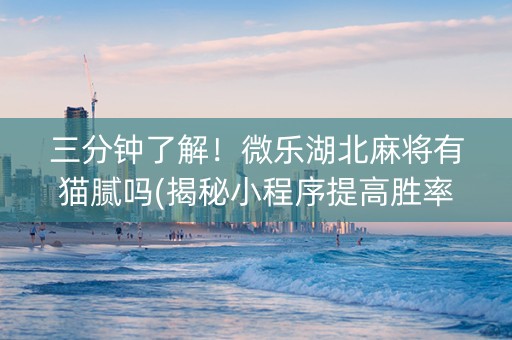 三分钟了解！微乐湖北麻将有猫腻吗(揭秘小程序提高胜率)
