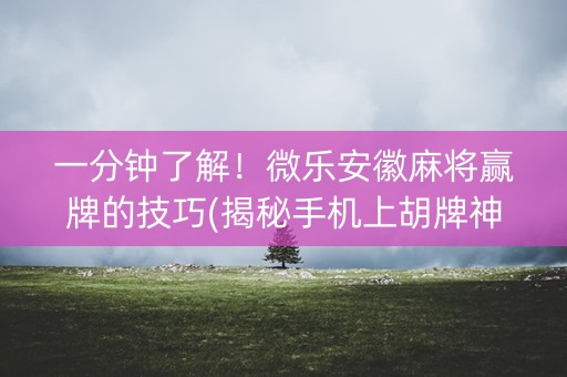 一分钟了解！微乐安徽麻将赢牌的技巧(揭秘手机上胡牌神器)