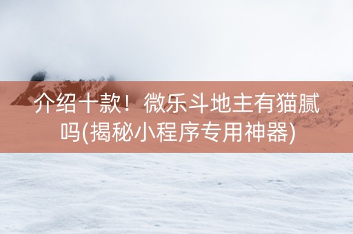 介绍十款！微乐斗地主有猫腻吗(揭秘小程序专用神器)