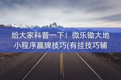 给大家科普一下！微乐锄大地小程序赢牌技巧(有挂技巧辅助器)