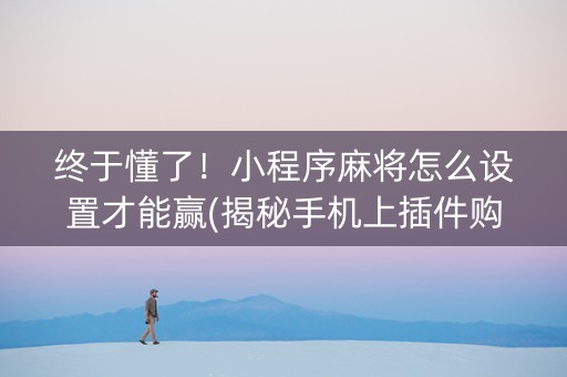 终于懂了！小程序麻将怎么设置才能赢(揭秘手机上插件购买)