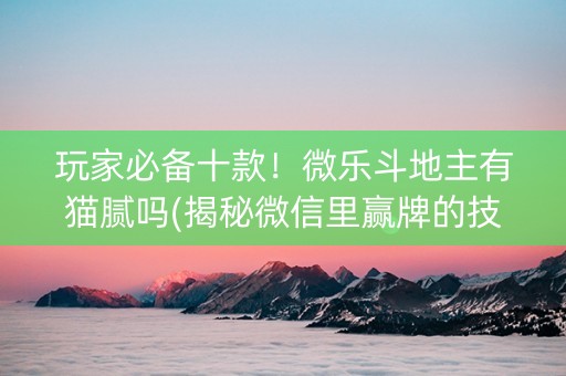 玩家必备十款！微乐斗地主有猫腻吗(揭秘微信里赢牌的技巧)