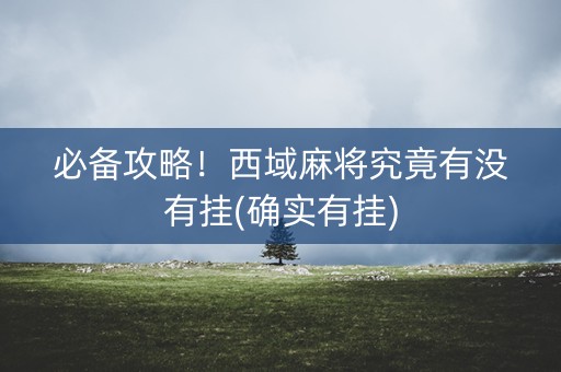 必备攻略！西域麻将究竟有没有挂(确实有挂)