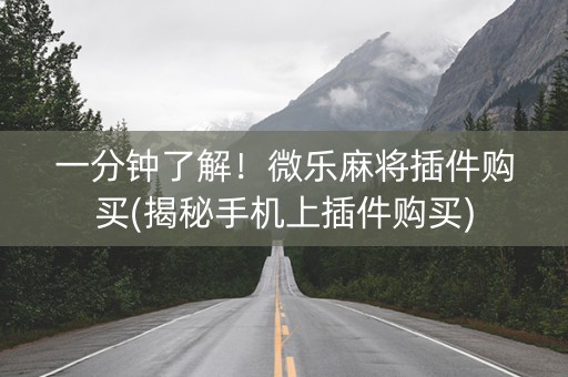 一分钟了解！微乐麻将插件购买(揭秘手机上插件购买)