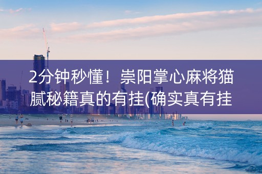 2分钟秒懂！崇阳掌心麻将猫腻秘籍真的有挂(确实真有挂)