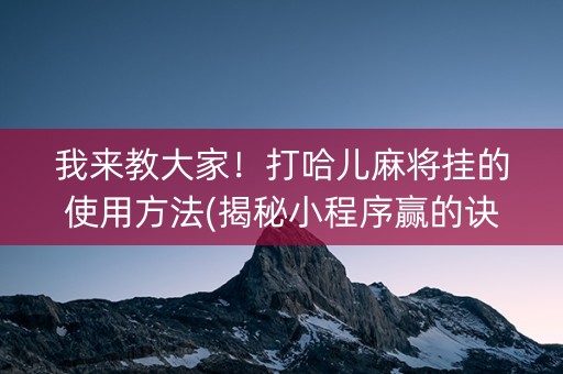 我来教大家！打哈儿麻将挂的使用方法(揭秘小程序赢的诀窍)