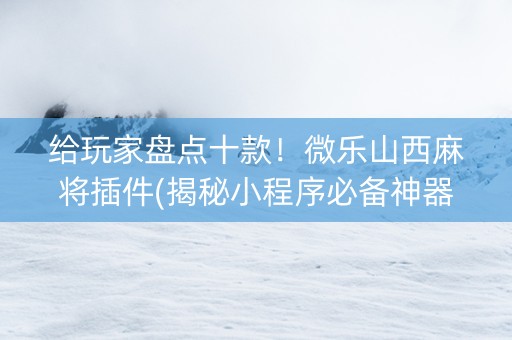 给玩家盘点十款！微乐山西麻将插件(揭秘小程序必备神器)