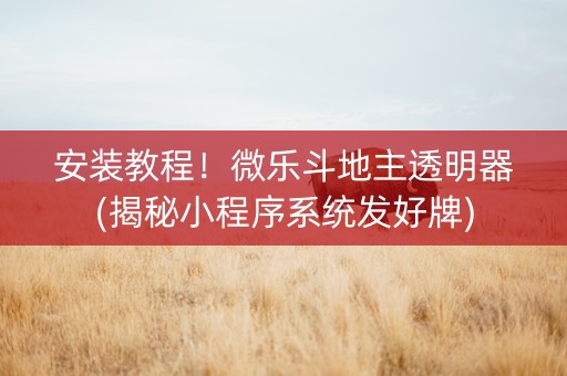 安装教程！微乐斗地主透明器(揭秘小程序系统发好牌)