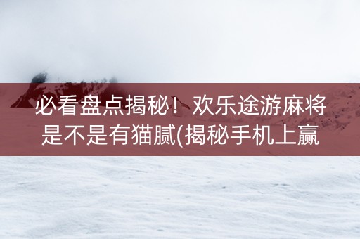 必看盘点揭秘！欢乐途游麻将是不是有猫腻(揭秘手机上赢牌的技巧)
