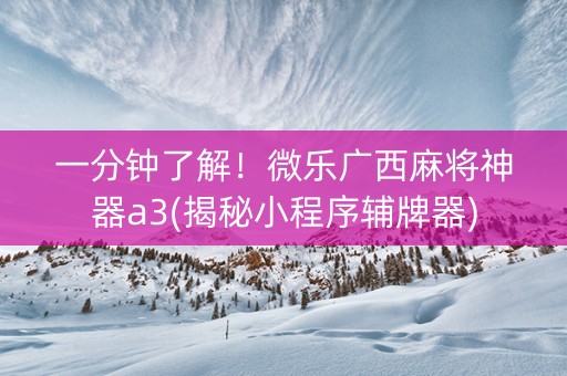 一分钟了解！微乐广西麻将神器a3(揭秘小程序辅牌器)