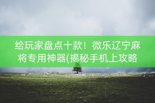 给玩家盘点十款！微乐辽宁麻将专用神器(揭秘手机上攻略插件)