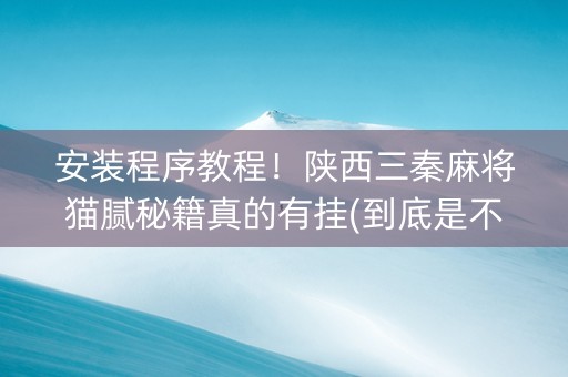 安装程序教程！陕西三秦麻将猫腻秘籍真的有挂(到底是不是有挂)