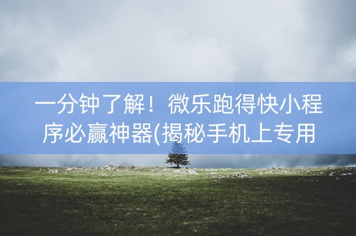 一分钟了解！微乐跑得快小程序必赢神器(揭秘手机上专用神器)