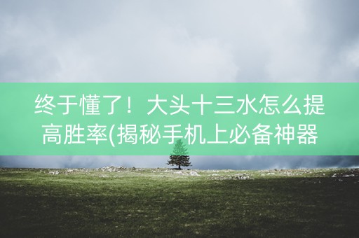 终于懂了！大头十三水怎么提高胜率(揭秘手机上必备神器)