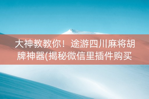 大神教教你！途游四川麻将胡牌神器(揭秘微信里插件购买)