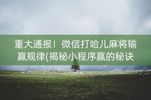 重大通报！微信打哈儿麻将输赢规律(揭秘小程序赢的秘诀)