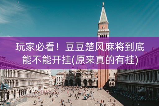 玩家必看！豆豆楚风麻将到底能不能开挂(原来真的有挂)