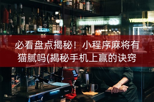 必看盘点揭秘！小程序麻将有猫腻吗(揭秘手机上赢的诀窍)