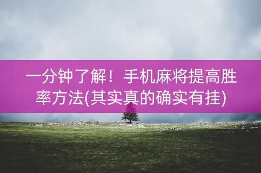 一分钟了解！手机麻将提高胜率方法(其实真的确实有挂)
