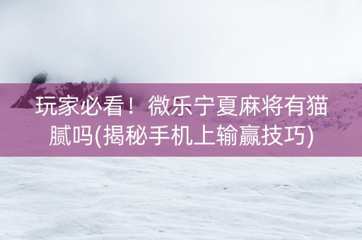 玩家必看！微乐宁夏麻将有猫腻吗(揭秘手机上输赢技巧)