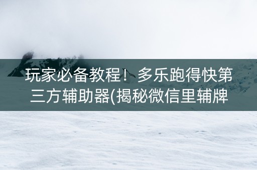 玩家必备教程！多乐跑得快第三方辅助器(揭秘微信里辅牌器)