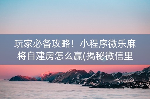 玩家必备攻略！小程序微乐麻将自建房怎么赢(揭秘微信里提高胜率)