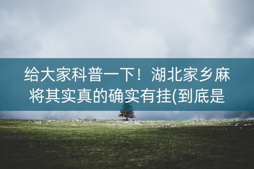 给大家科普一下！湖北家乡麻将其实真的确实有挂(到底是不是有挂)