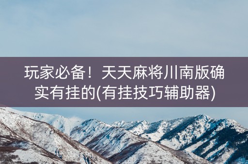 玩家必备！天天麻将川南版确实有挂的(有挂技巧辅助器)