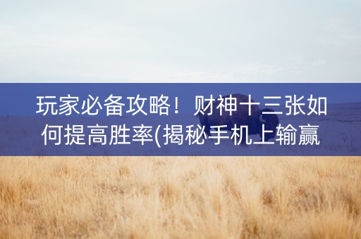 玩家必备攻略！财神十三张如何提高胜率(揭秘手机上输赢规律)