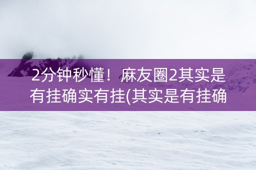 2分钟秒懂！麻友圈2其实是有挂确实有挂(其实是有挂确实有挂)