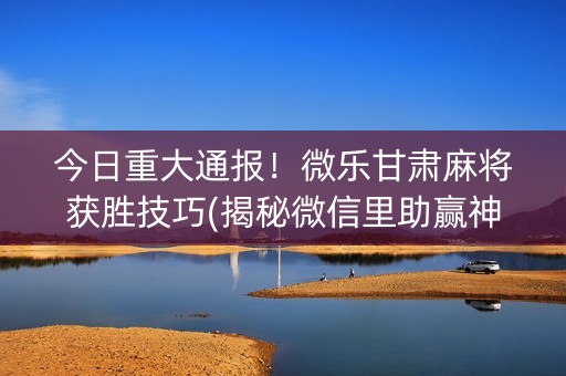 今日重大通报！微乐甘肃麻将获胜技巧(揭秘微信里助赢神器)