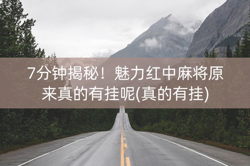 7分钟揭秘！魅力红中麻将原来真的有挂呢(真的有挂)