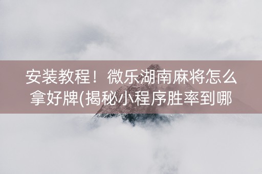 安装教程！微乐湖南麻将怎么拿好牌(揭秘小程序胜率到哪调)
