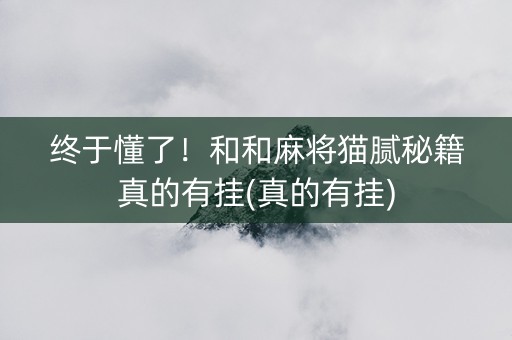 终于懂了！和和麻将猫腻秘籍真的有挂(真的有挂)