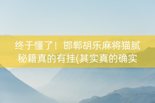 终于懂了！邯郸胡乐麻将猫腻秘籍真的有挂(其实真的确实有挂)