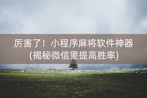 厉害了！小程序麻将软件神器(揭秘微信里提高胜率)