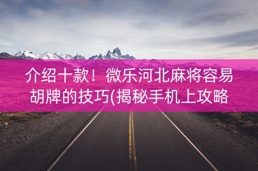 介绍十款！微乐河北麻将容易胡牌的技巧(揭秘手机上攻略插件)