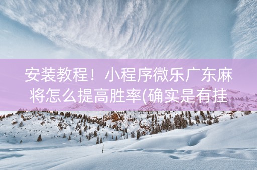 安装教程！小程序微乐广东麻将怎么提高胜率(确实是有挂)