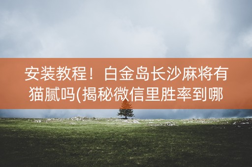 安装教程！白金岛长沙麻将有猫腻吗(揭秘微信里胜率到哪调)
