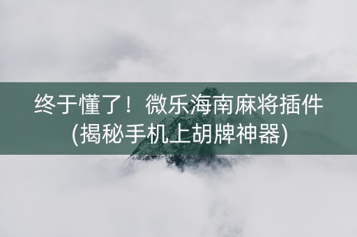 终于懂了！微乐海南麻将插件(揭秘手机上胡牌神器)