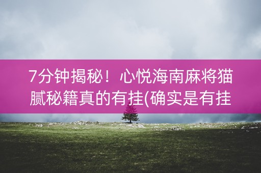 7分钟揭秘！心悦海南麻将猫腻秘籍真的有挂(确实是有挂的)