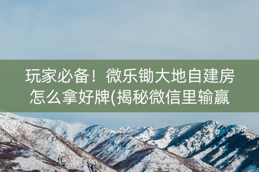 玩家必备！微乐锄大地自建房怎么拿好牌(揭秘微信里输赢规律)