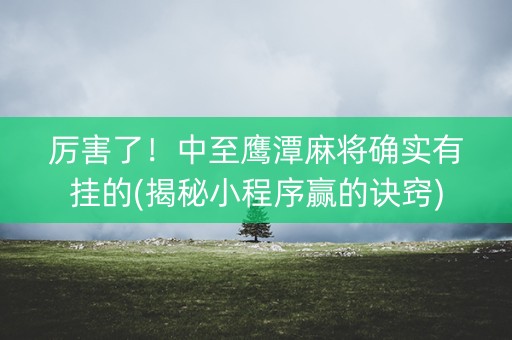 厉害了！中至鹰潭麻将确实有挂的(揭秘小程序赢的诀窍)