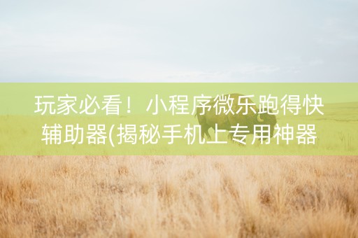 玩家必看！小程序微乐跑得快辅助器(揭秘手机上专用神器)