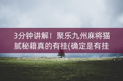 3分钟讲解！聚乐九州麻将猫腻秘籍真的有挂(确定是有挂)